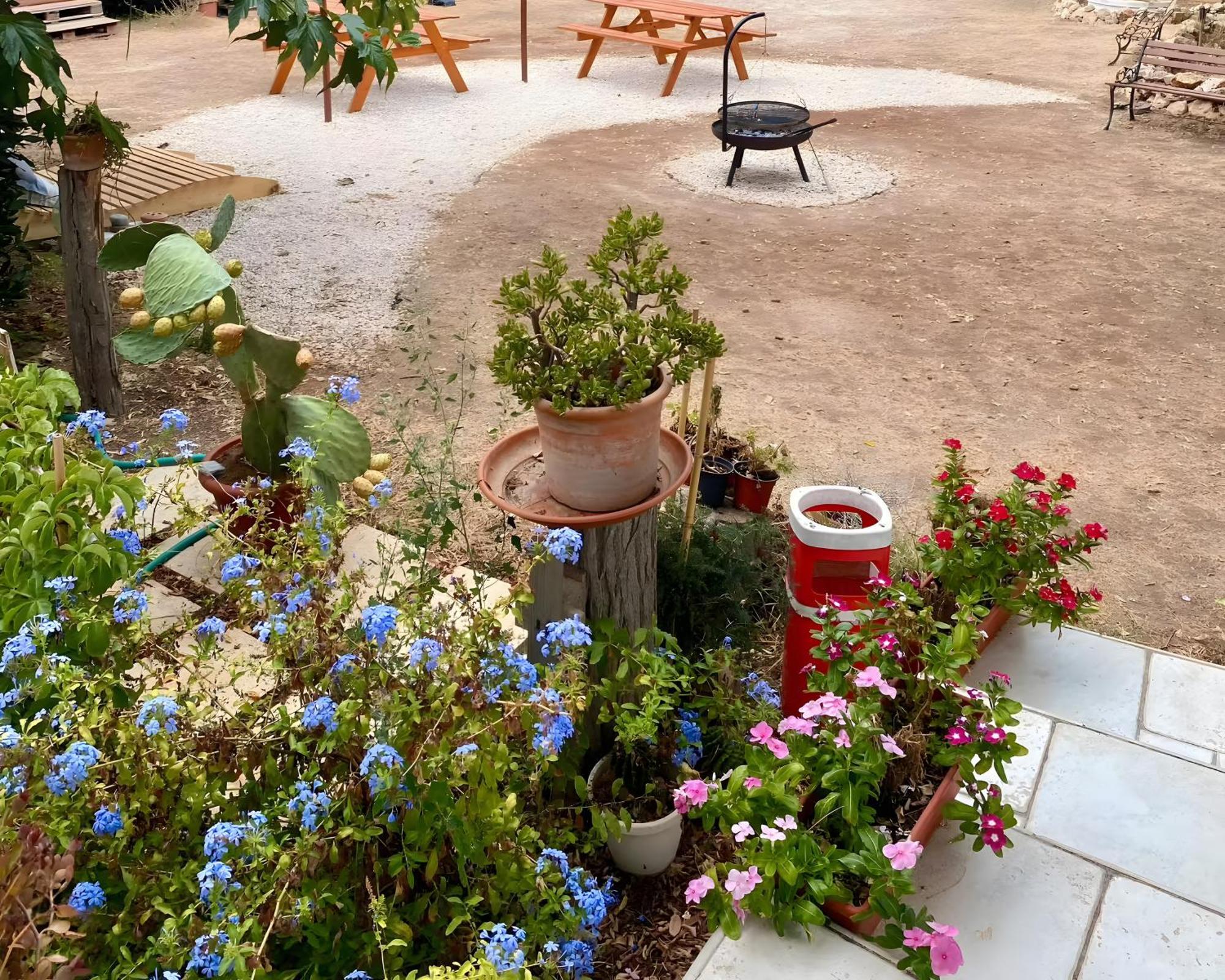 سان بيترو في بيفانا Chill Garden Experience B&B المظهر الخارجي الصورة